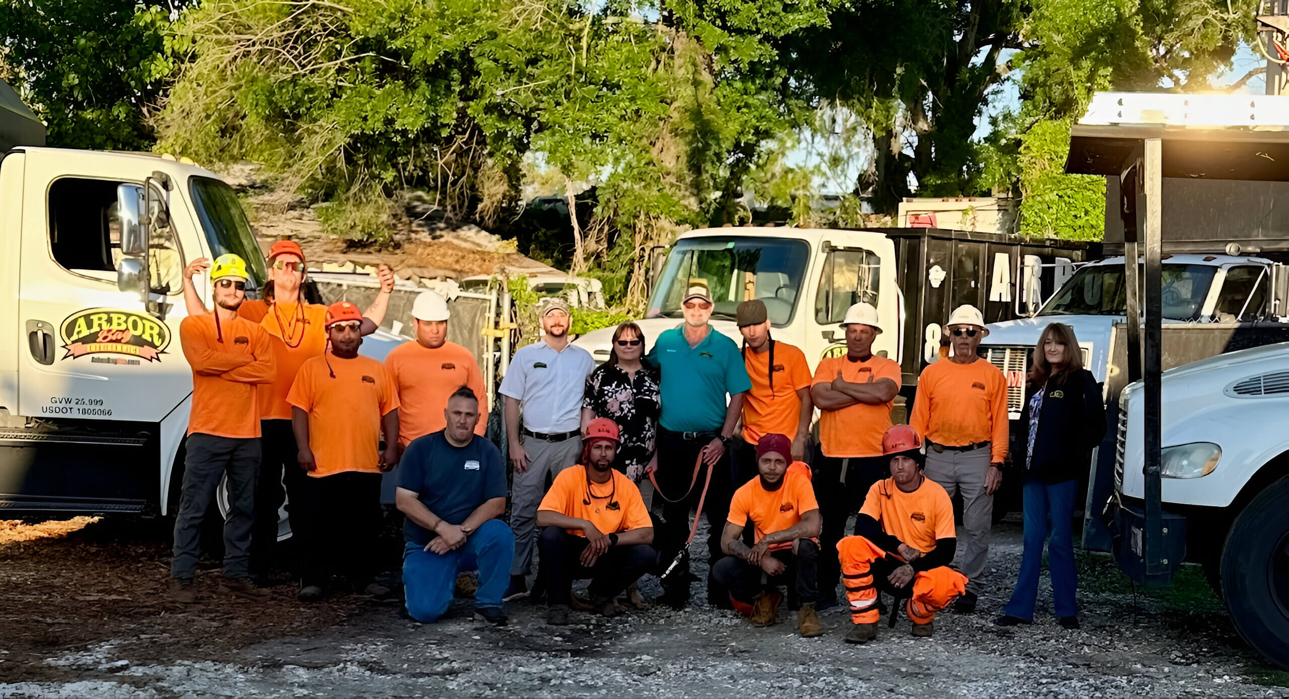 Arbor Bay Tree Service Showcases Expertise in Hurricane Milton